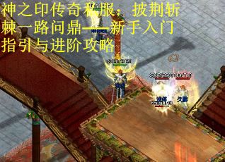 神之印传奇私服：披荆斩棘一路问鼎——新手入门指引与进阶攻略