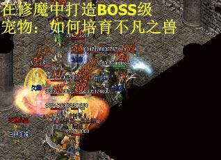 在修魔中打造BOSS级宠物：如何培育不凡之兽