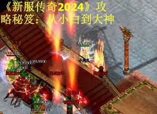 《新服传奇2024》攻略秘笈：从小白到大神